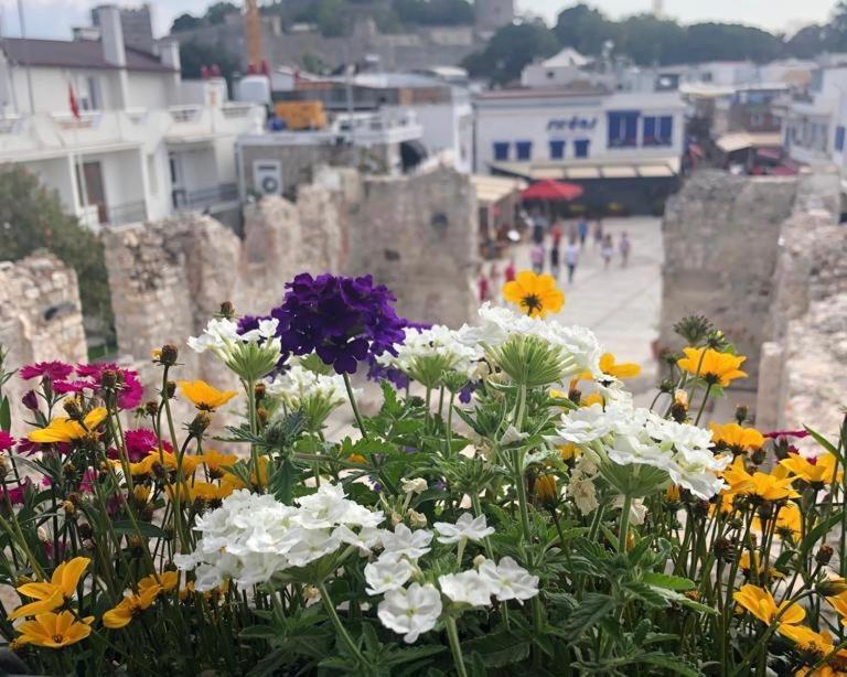 Houses Of Socrates - Manzara Apartment Bodrum Luaran gambar